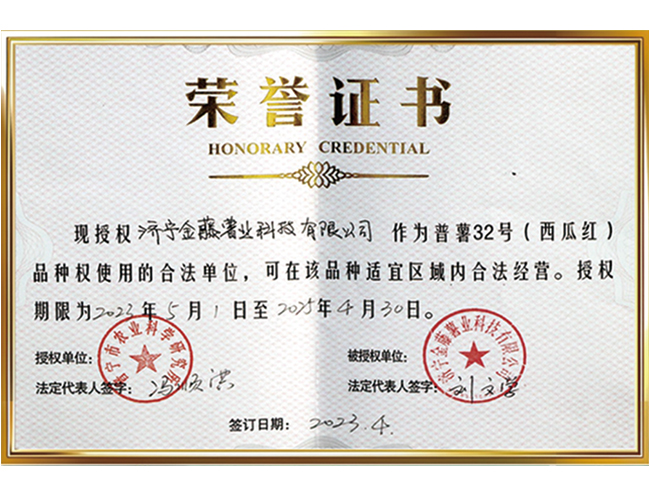 榮譽(yù)證書(shū)